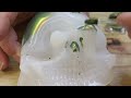 Making a LIQUID Filled LED Skull with Opal and Resin