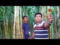 গ্যান্ডারী sugarcane ঝুকিহীন উচ্চ মুল্য ফসল