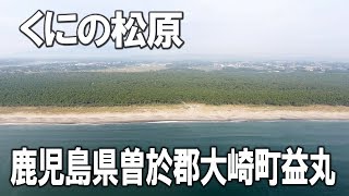 くにの松原　鹿児島県曽於郡大崎町益丸