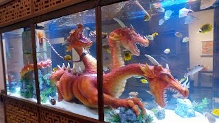 Steve Aoki's Dragon Tank