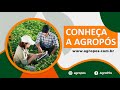 Conheça a AgroPós!