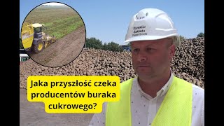 Przyspieszona kampania buraczana. Jaka przyszłość czeka producentów buraka cukrowego? [REPORTAŻ]