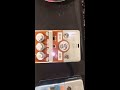 guyatone hdm5 hot drive in guitar shop