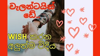 💞 Best Way To Wish Happy Valentine's Day. ❤💕❤. || වැලන්ටයින් එකට  Wish කරන හොඳම විදිය ||❤❤💕