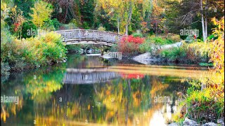 Walk around video 2 Edward garden Scarborough Toronto. 4K