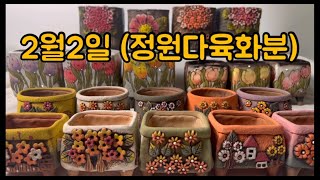 2월2일 예쁜공방분 품어보세요#정원다육화분#다육화분#plants#수제공방분#공방분#다육이#화분예쁜집#예쁜화분#정원다육#감동화분#화분싸게파는집