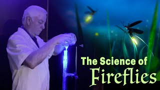 Glowing Wonders: The Science of Fireflies