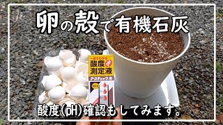 【卵の殻】で有機石灰を作って酸度(㏗)測定してみた(卵殻石灰)｜Make lime from egg shells