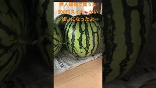 無人販売で買った500円スイカ🍉家にいっぱいになったよー。🍉😋