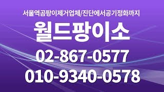 서울역곰팡이제거업체 서울베란다곰팡이제거업체 서울역곰팡이제거 벽곰팡이제거 월드팡이소