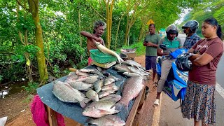 MIND BLOWING!! Street Cutting Skills Of A Professional Fisherman In Unique Village