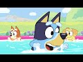 sete pequenas histórias com bluey em um 💙 nova compilaÇÃo bluey português brasil canal oficial