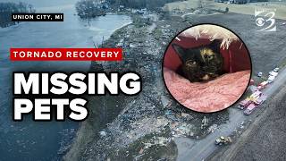 Days after deadly tornado, Union City volunteers keep searching for missing pets