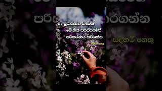 හිත පරිස්සම් කරගන්න.... එය පුළුවන් ඔබටමයි