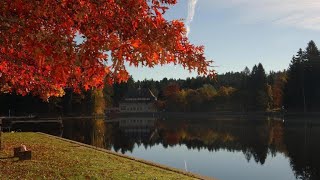 Hotel Waldsee, Lindenberg im Allgau, Germany