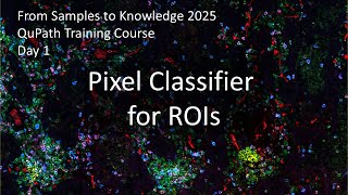 Advanced Pixel Classification and Segmentation in QuPath