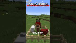 正解率１％のマイクラクイズ！？【マイクラ裏技 検証】 #shorts #マイクラ #マインクラフト #マイクラウラ技