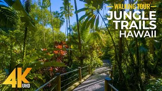 4K Sunny Day Walk in a Tropical Forest - Jungle Trails of Hawaii Tropical Botanical Garden