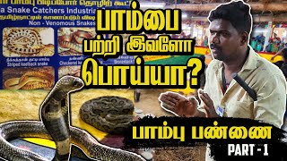 Part 1 - பாம்பு பால் குடிக்குமா?🤔 | நாகமணி இருக்கா?🤑🤑 #snake #crocodile #snakevenom #techbuddytamil