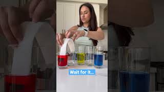 Learn about plants with walking water 🌱💦🤯!! Science for kids! #scienceexperiment #stemeducation