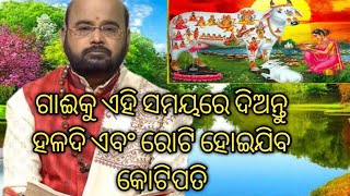 ଗାଈକୁ ଏହି ସମୟରେ ଦିଅନ୍ତୁ ହଳଦି ଏବଂ ରୋଟି ହୋଇଯିବ  କୋଟିପତି//Ajira Nitibani//Sadhubani