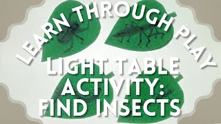 LIGHT TABLE ACTIVITY: FIND INSECTS | Simple craft for Early Childhood Educators | Learn through play