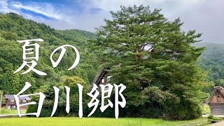 【夏の岐阜旅行】世界遺産の白川郷で、合掌造りが建ち並ぶ集落を巡りました【ひとり旅Vlog】