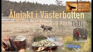 Moosehunt / Älgjakt i Västerbotten Del 1.