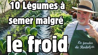 Ces 10 légumes rustiques n’ont pas besoin de chaleur pour germer