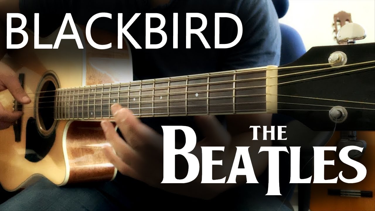 The Beatles | BlackBird | Guitarra Fingerstyle - YouTube