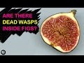 Are There Dead Wasps In Figs? | Gross Science