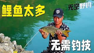 【無空野釣】北盤江的鯉魚太多了，不要釣技都是資源 #钓鱼 #探险 #户外 #钓鱼生活 #钓鱼高手 #钓鱼分享 #钓鱼佬 #大鱼