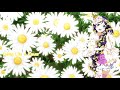 nightcore finalemente oldschool mix 1990s 2008