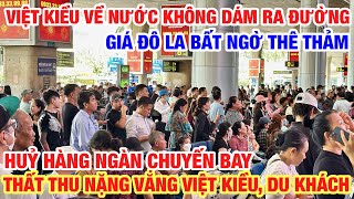 VIỆT KIỀU VỀ NƯỚC KHÔNG DÁM RA ĐƯỜNG BÀ CON CHÚ Ý I GIÁ ĐÔ LA RỚT MẠNH HUỶ HÀNG NGÀN CHUYẾN BAY