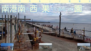 南港魚つり園護岸 | Nanko Fishing Port 🇯🇵 Osaka, Japan