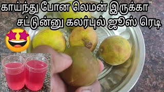 காய்ந்து போன எலுமிச்சம்பழத்துல இப்படியும் பன்னலாமா | Colour Ful Lemon Juice