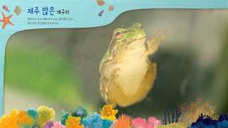 자연이랑 DVD - 재주 많은 개구리