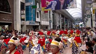 ほにや２～2017高知よさこい祭り本祭(帯屋筋)