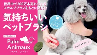 ペット用ブラシpalm animaux（パルム アニモ）商品紹介｜エス・ハート・エス