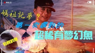 台中港外海竟然釣到夢幻魚