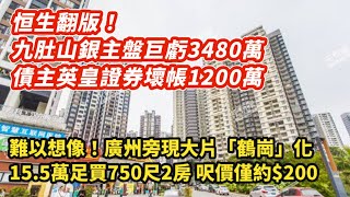 恒生翻版！九肚山銀主盤巨虧3480萬 債主英皇證券壞帳1200萬｜難以想像！廣州旁現大片鶴崗化 15.5萬可買750尺2房 呎價僅約$200｜