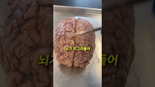 커피 마시면 뇌가 이렇게 됩니다 ㅠ