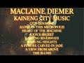 Maclaine Diemer - New Kaineng City - Guild Wars 2 End of Dragons Music