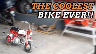 HONDA Z50 MONKEY - Why its the COOLEST BIKE EVER?!