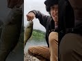 smallmouth bass are so aggressive