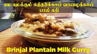 கம கமக்கும் கத்தரிக்காய் வாழைக்காய் பால் கறி | Sri Lankan Style Katharikai pal curry | Non spicy