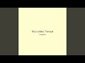Sky Lullaby Tranquil