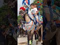 KUDA ○ Kuda Renggong makin Digeboy | Dancing Horse #art #shorts