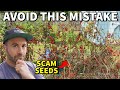 I Got SCAMMED Buying Seeds: Do Not Make This Mistake!