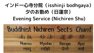 【夕勤 Evening Service (Nichiren Shu)】460回 法華経Lotus Sutra 一心寺分院Isshinji Temple in Bodhgaya, 6/11/2024】